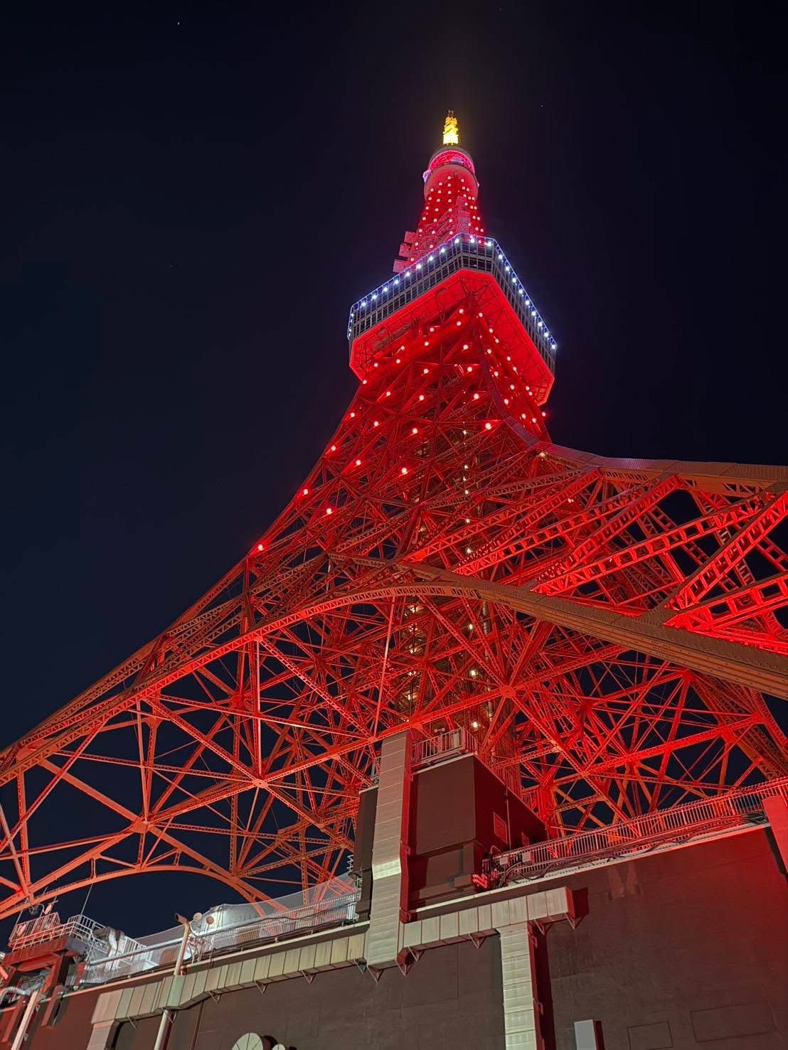 関連画像 3